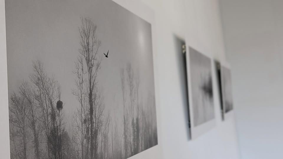 488828467_1043489264498435_7339147403931922581_n